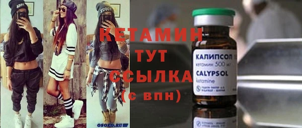 мет Алексин