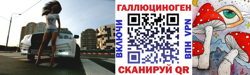 где продают наркотики  Цивильск  Псилоцибиновые грибы Cubensis 
